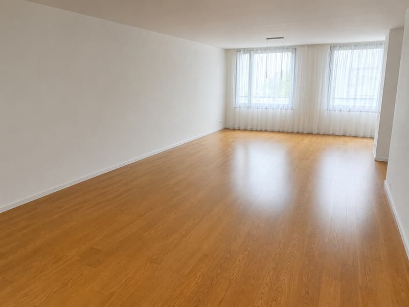 Appartement moderne de 3,5 pièces à Tribschenstadt (7)