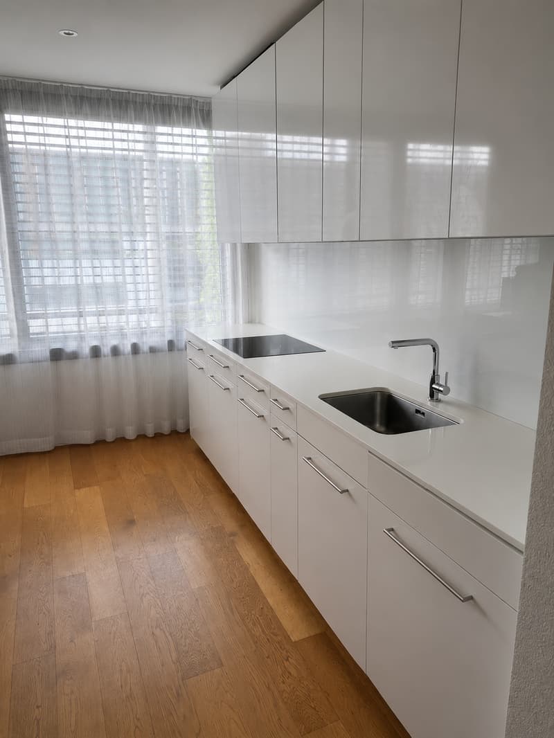 Appartement moderne de 3,5 pièces à Tribschenstadt (2)