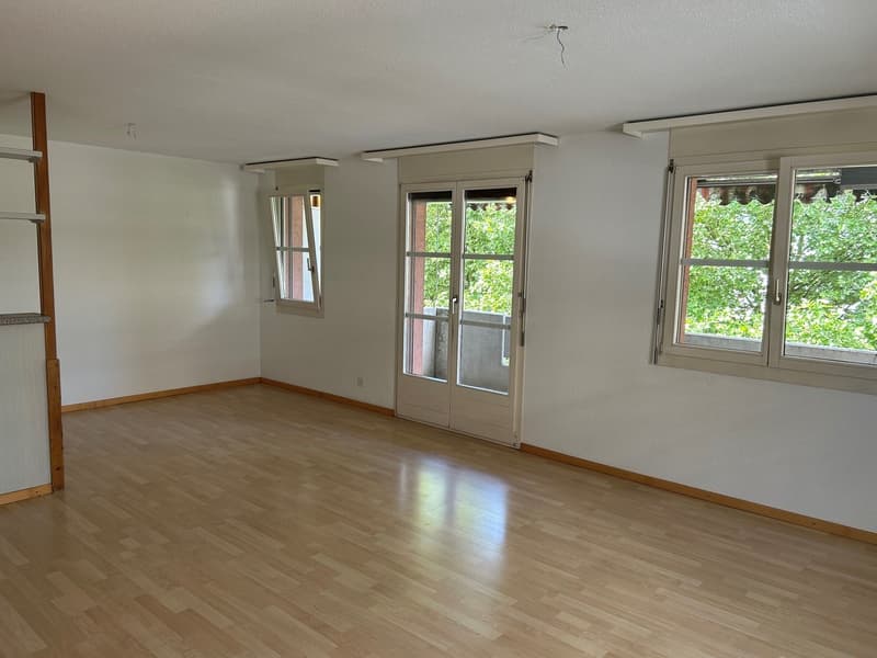 Helle 4.5-Zimmer-Wohnung mit Balkon in Luzern-Reussbühl (10022) (10)