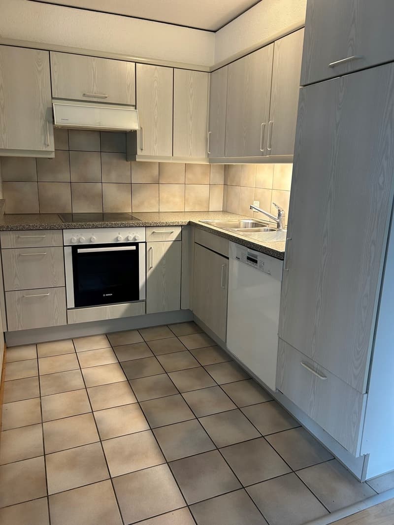 Helle 4.5-Zimmer-Wohnung mit Balkon in Luzern-Reussbühl (10022) (2)