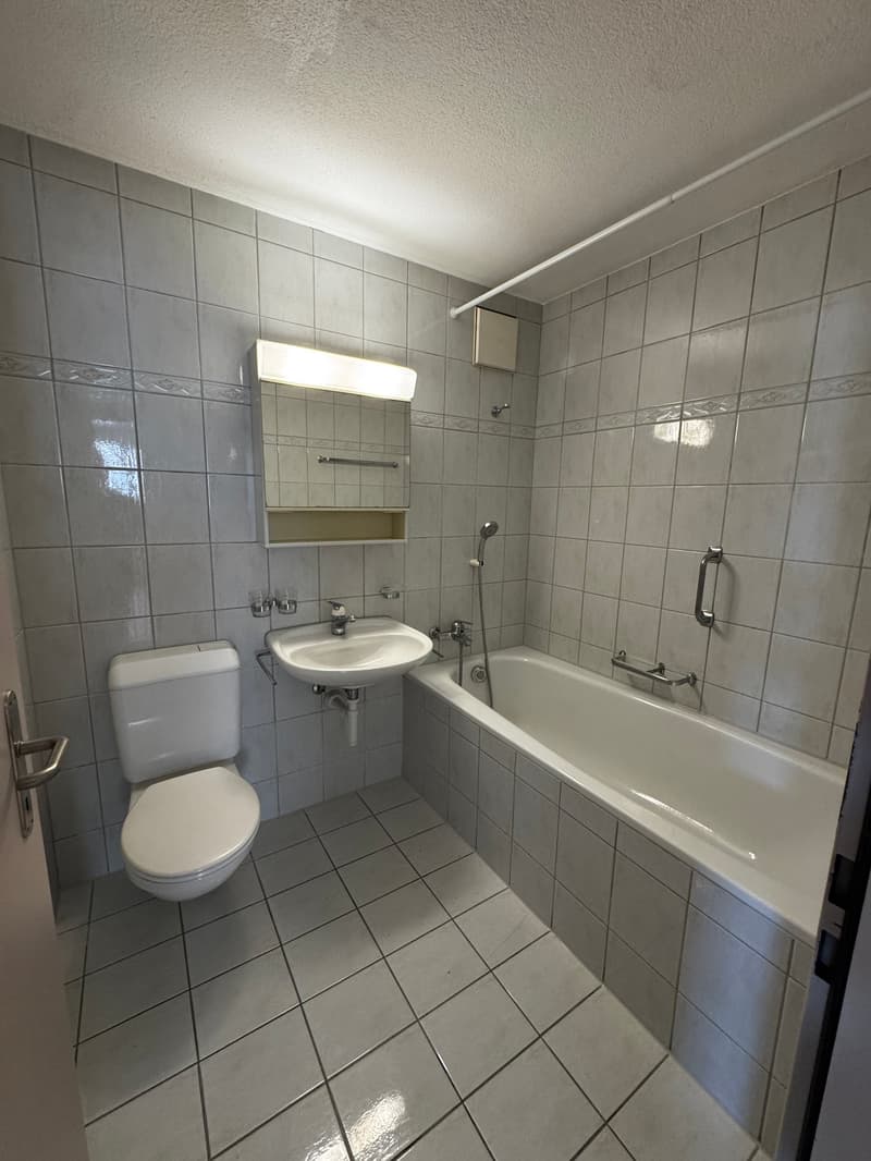 Helle 4.5-Zimmer-Wohnung mit Balkon in Luzern-Reussbühl (4)