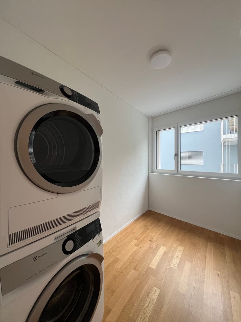 Modern 3.5-room apartment with style (4)