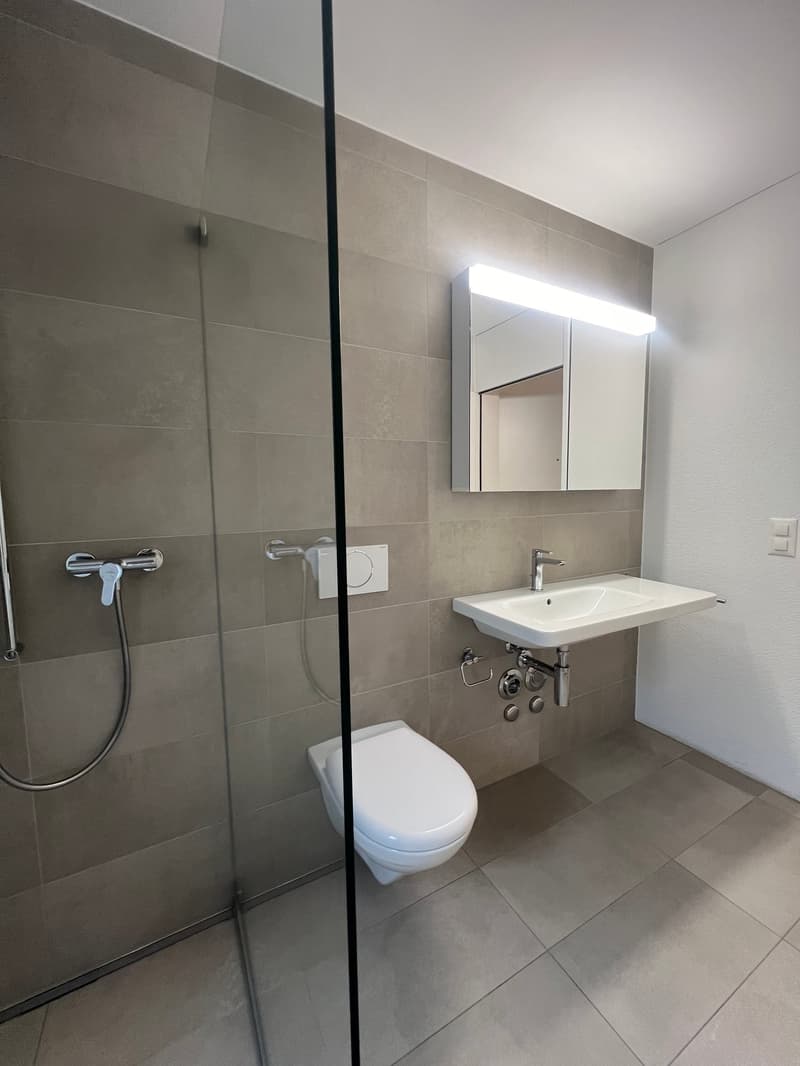 Modern 3.5-room apartment with style (6)