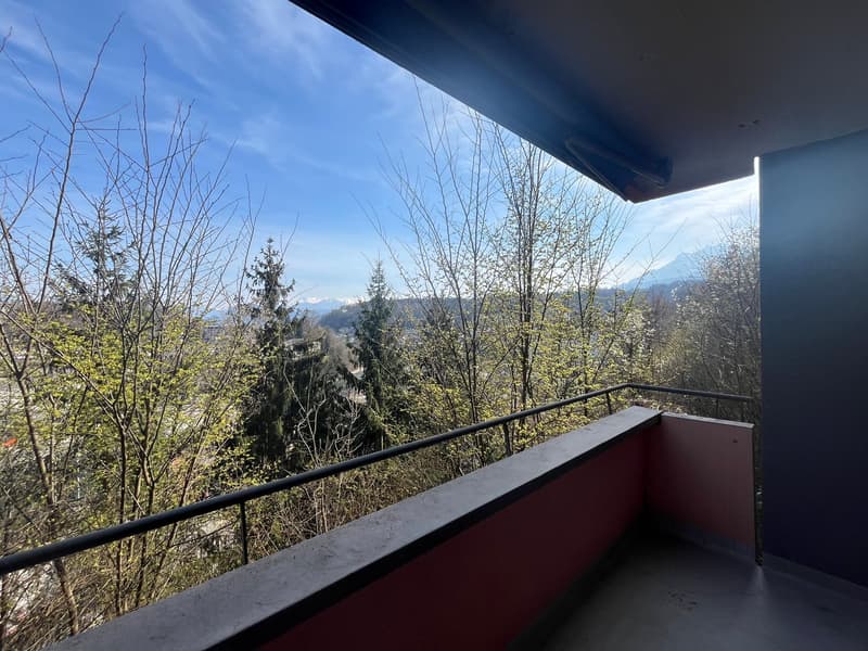 Appartamento familiare di 3,5 locali luminoso con balcone in una zona tranquilla (3)