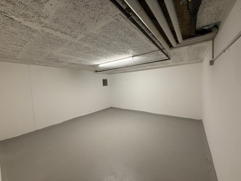 Locale di dispensario in affitto (60515) (3)