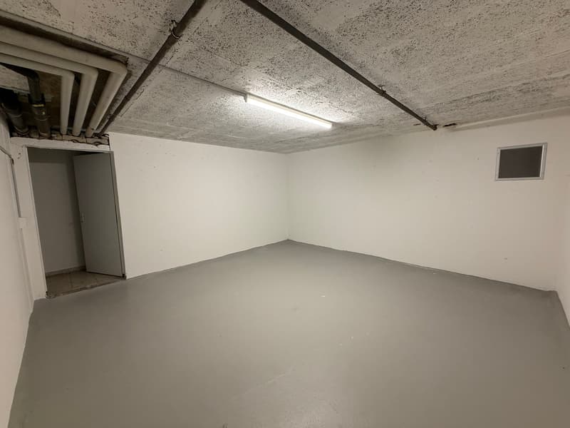 Locale di dispensario in affitto (60515) (5)