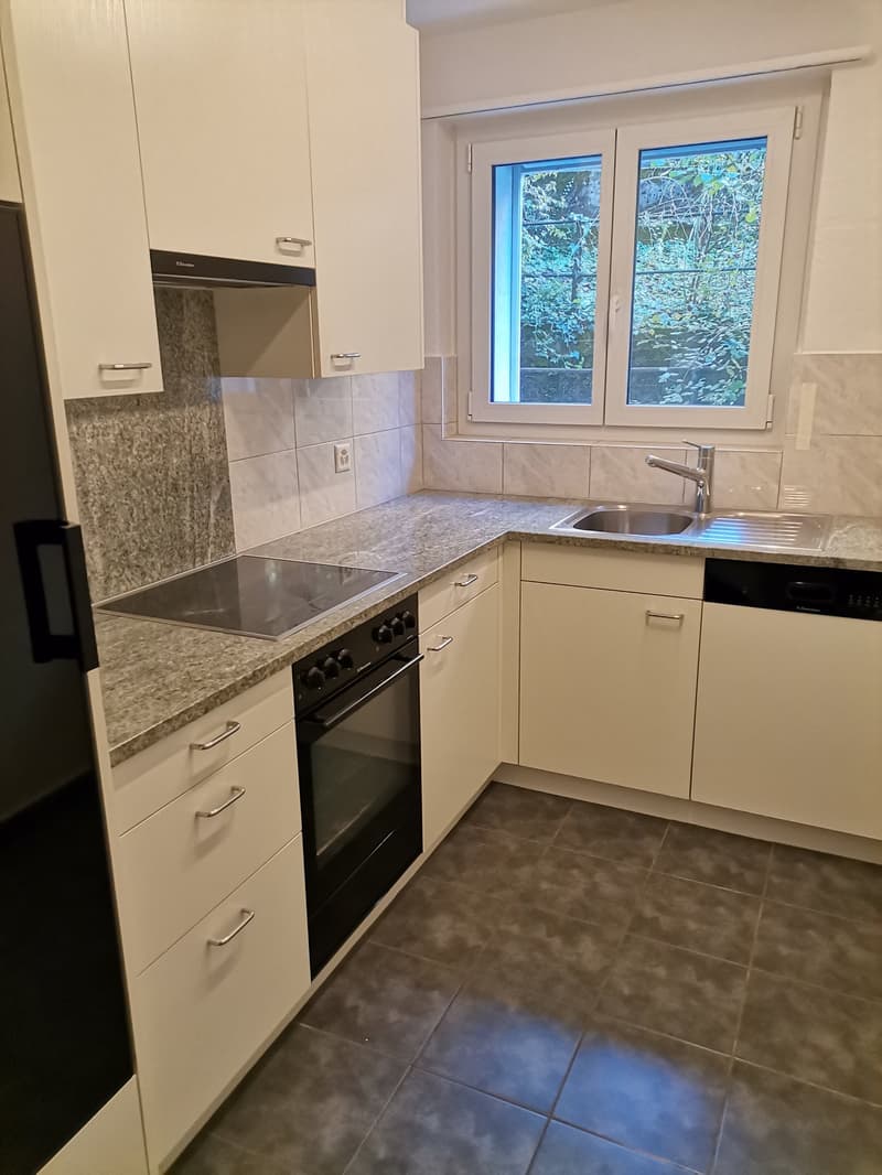 zentrale Stadtwohnung zu vermieten (11)