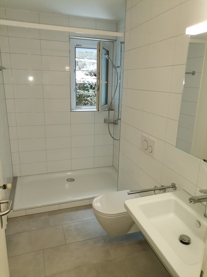 zentrale Stadtwohnung zu vermieten (3)