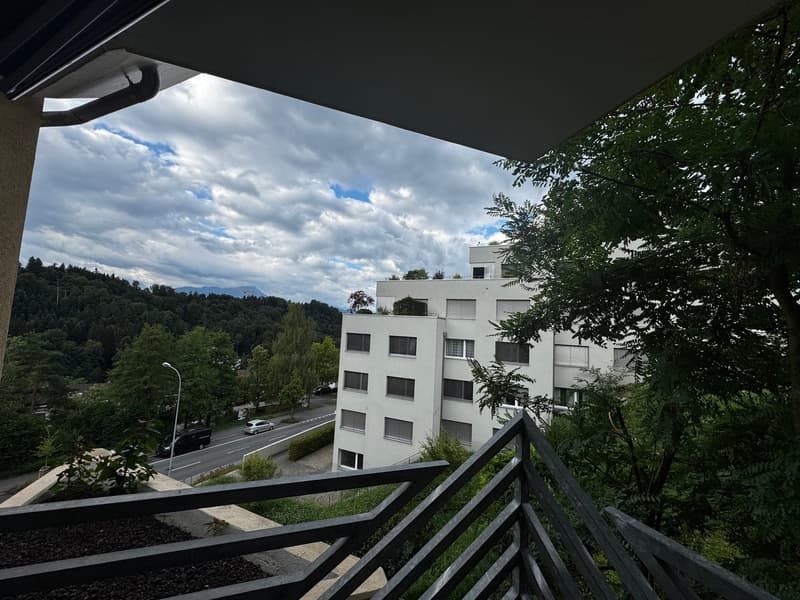 Appartamento accogliente di 2.5 locali con balcone in una posizione tranquilla – Lucerna (6)