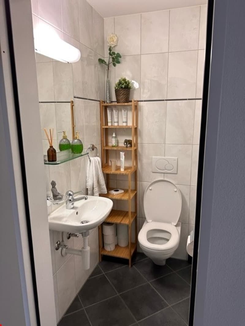 Habiter au bord de la Reuss avec terrasse (2)