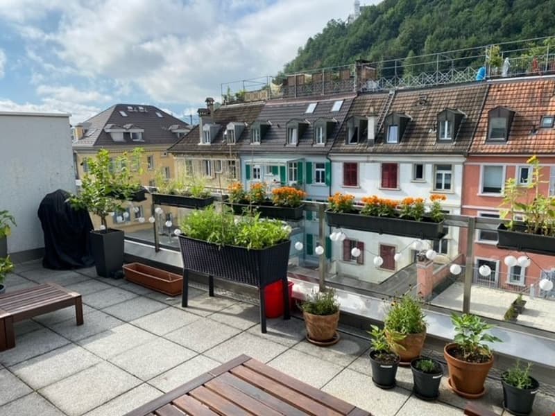 Habiter au bord de la Reuss avec terrasse (14)