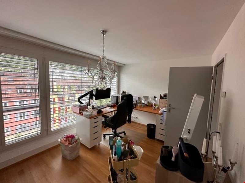 Habiter au bord de la Reuss avec terrasse (7)
