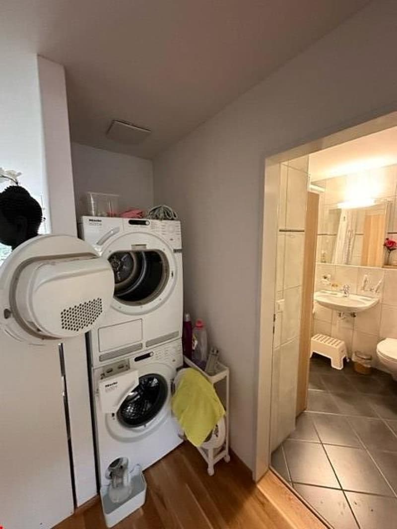 Habiter au bord de la Reuss avec terrasse (11)