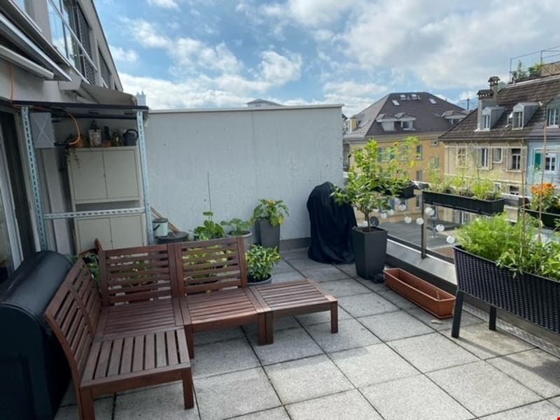 Habiter au bord de la Reuss avec terrasse (13)