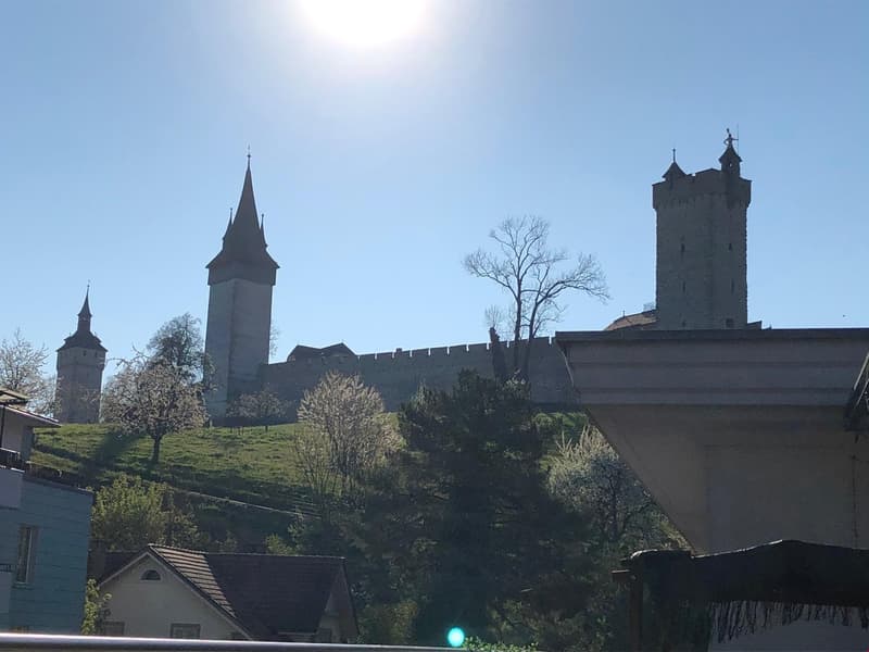 Ottimo appartamento mansardato nel cuore della città di Lucerna in affitto (2)