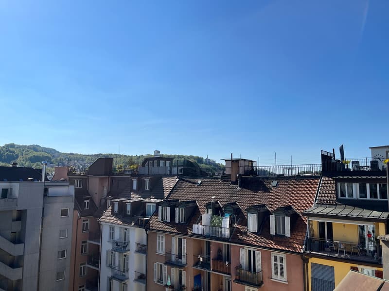Charmante maisonnette 2.5 pièces avec terrasse sur le toit au cœur de Lucerne (19)