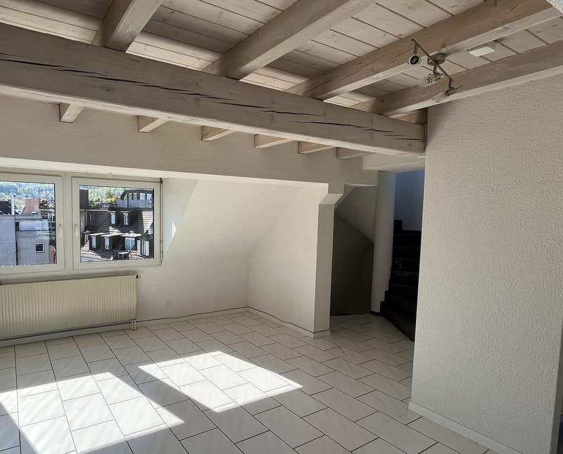 Charmante maisonnette 2.5 pièces avec terrasse sur le toit au cœur de Lucerne (6)