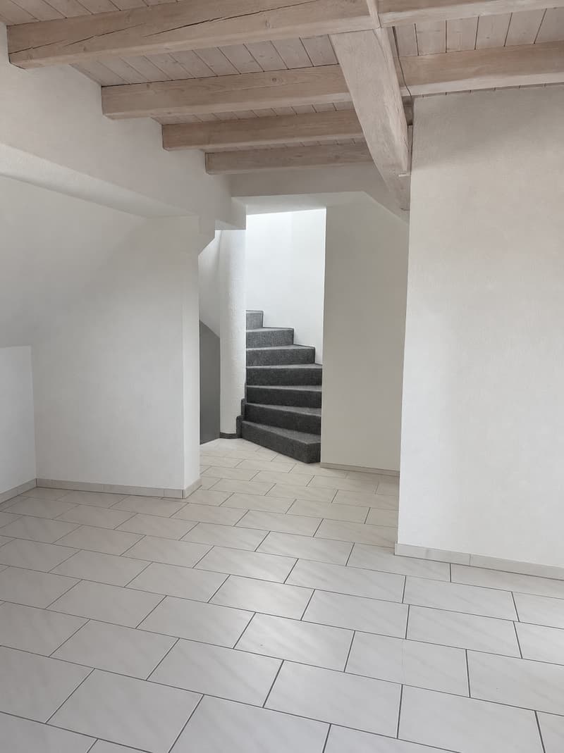 Charmante maisonnette 2.5 pièces avec terrasse sur le toit au cœur de Lucerne (5)