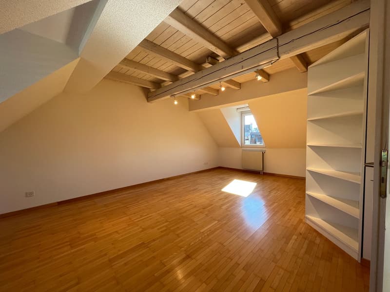 Charmante maisonnette 2.5 pièces avec terrasse sur le toit au cœur de Lucerne (14)