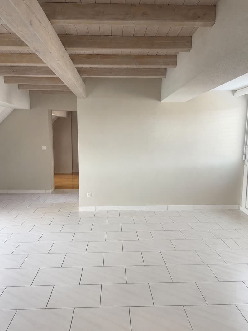 Charmante maisonnette 2.5 pièces avec terrasse sur le toit au cœur de Lucerne (11)