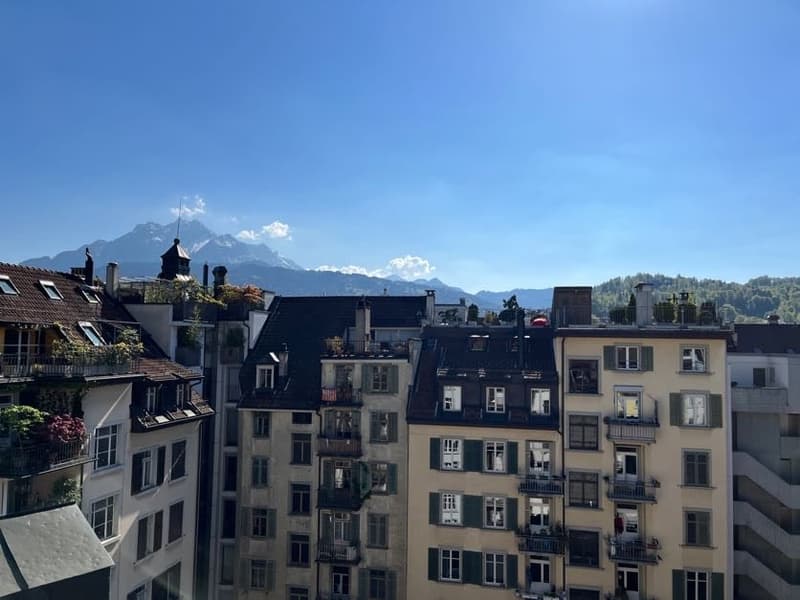 Charmante maisonnette 2.5 pièces avec terrasse sur le toit au cœur de Lucerne (18)