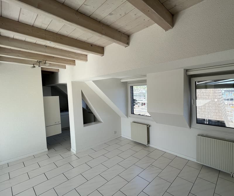 Charmante maisonnette 2.5 pièces avec terrasse sur le toit au cœur de Lucerne (8)