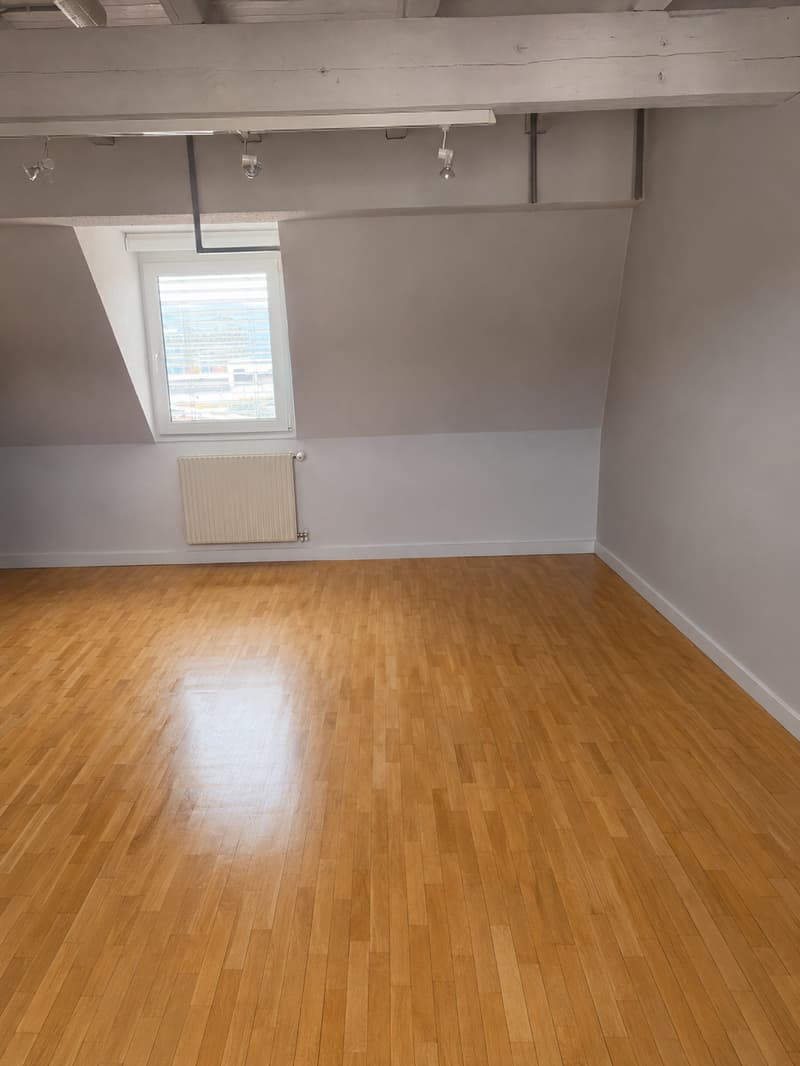 Charmante maisonnette 2.5 pièces avec terrasse sur le toit au cœur de Lucerne (13)