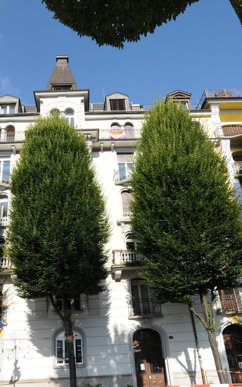 Charmante maisonnette 2.5 pièces avec terrasse sur le toit au cœur de Lucerne (2)
