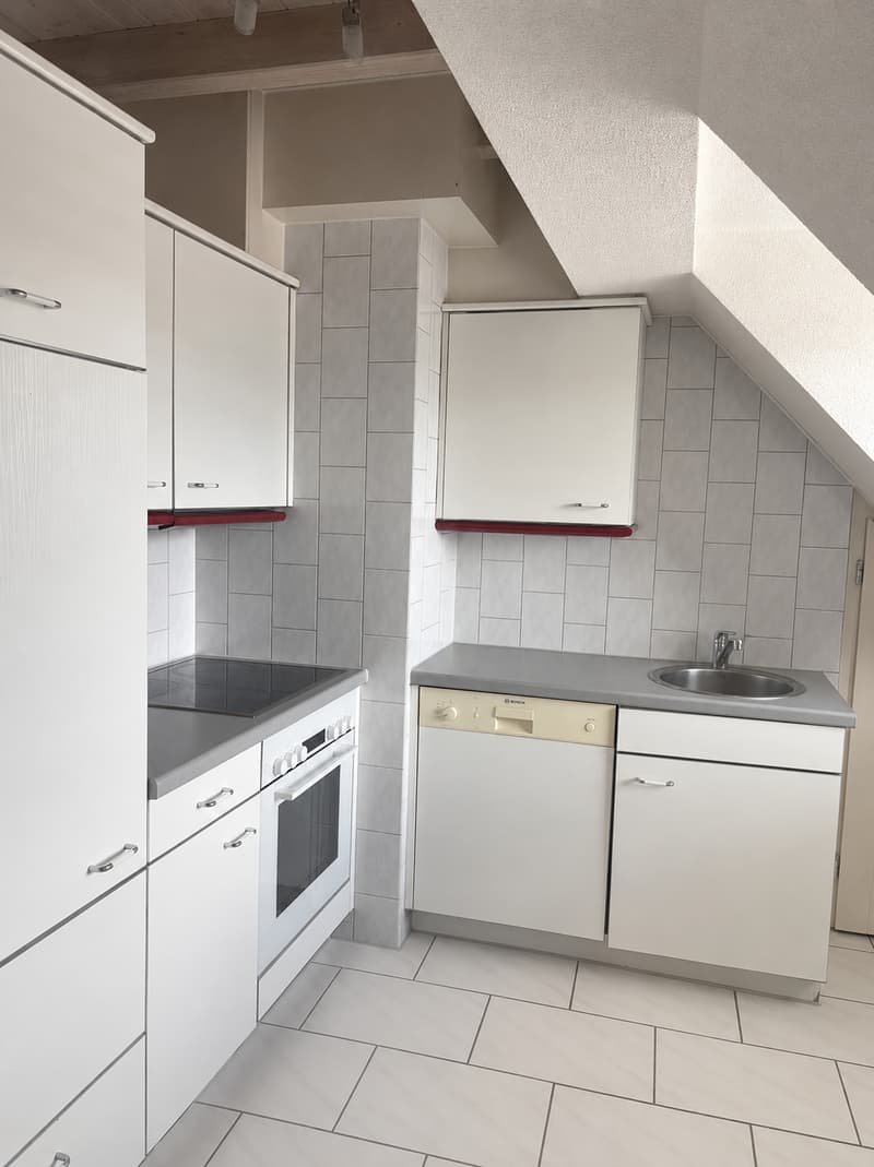 Charmante maisonnette 2.5 pièces avec terrasse sur le toit au cœur de Lucerne (9)