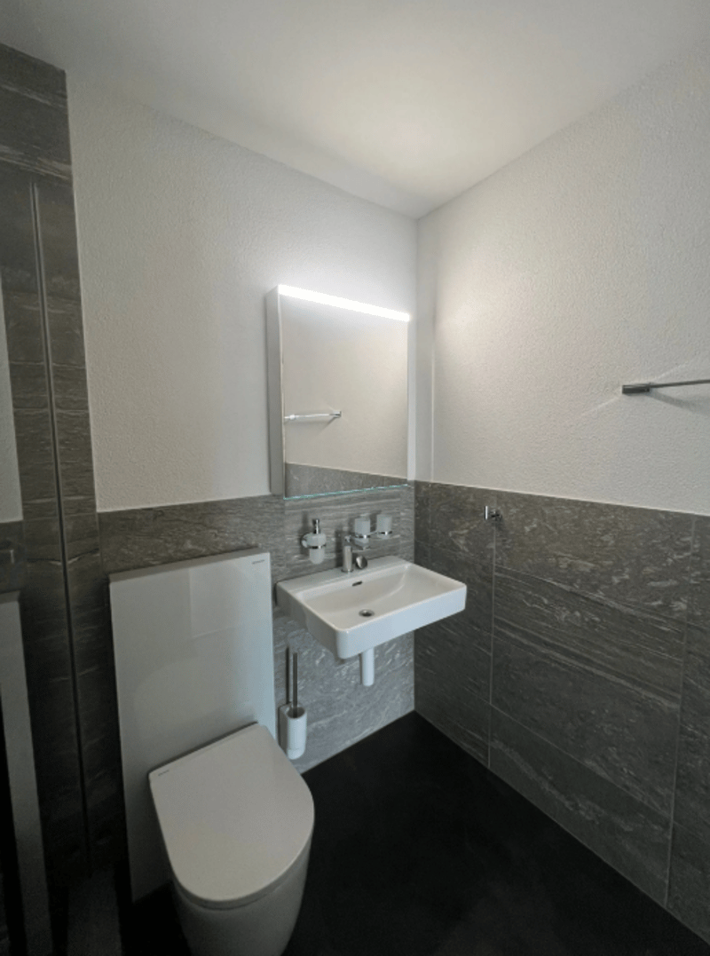 Appartamento moderno di 2,5 locali vicino al lago (6)