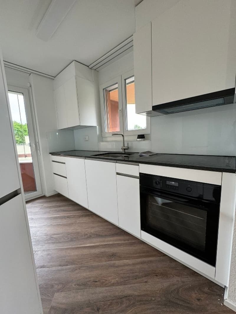 Appartamento moderno di 2,5 locali vicino al lago (4)