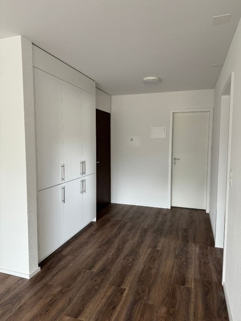 Appartamento moderno di 2,5 locali vicino al lago (9)