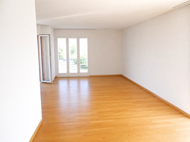 Spacious 3.5-room apartment near the lake (4)