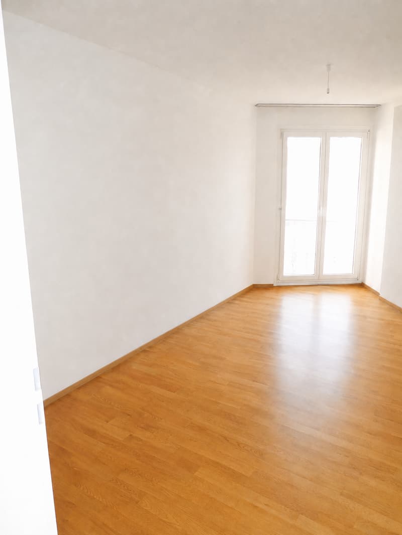 Spacious 3.5-room apartment near the lake (5)