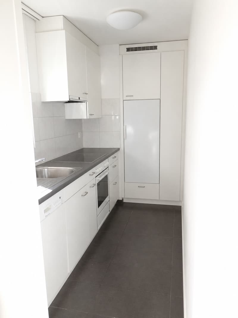 Spacious 3.5-room apartment near the lake (2)