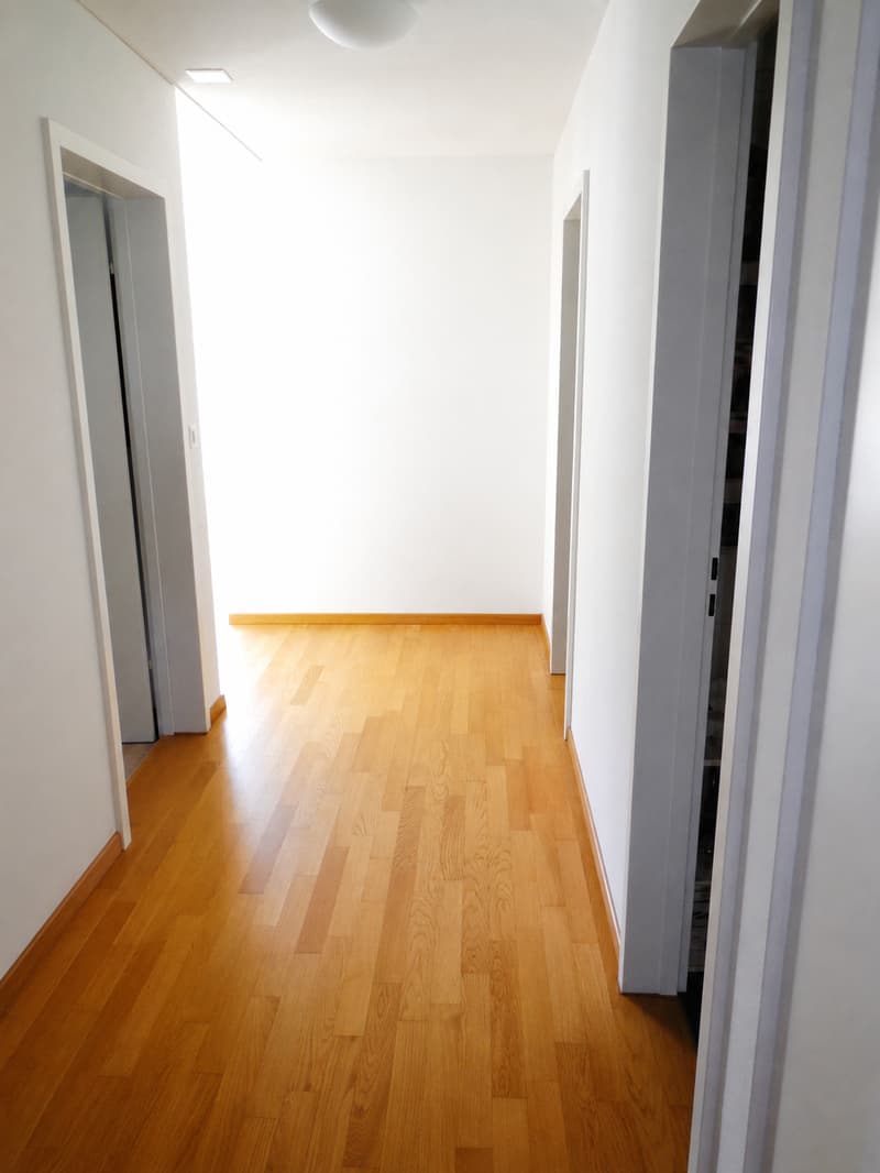 Spacious 3.5-room apartment near the lake (6)