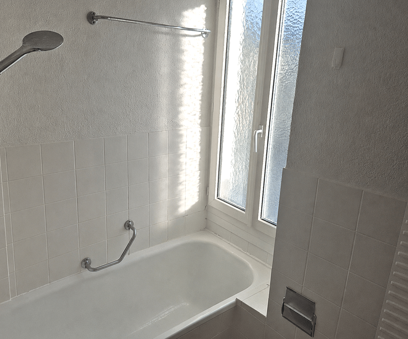 Charming 3-room apartment on Maihofstrasse in Lucerne (4)