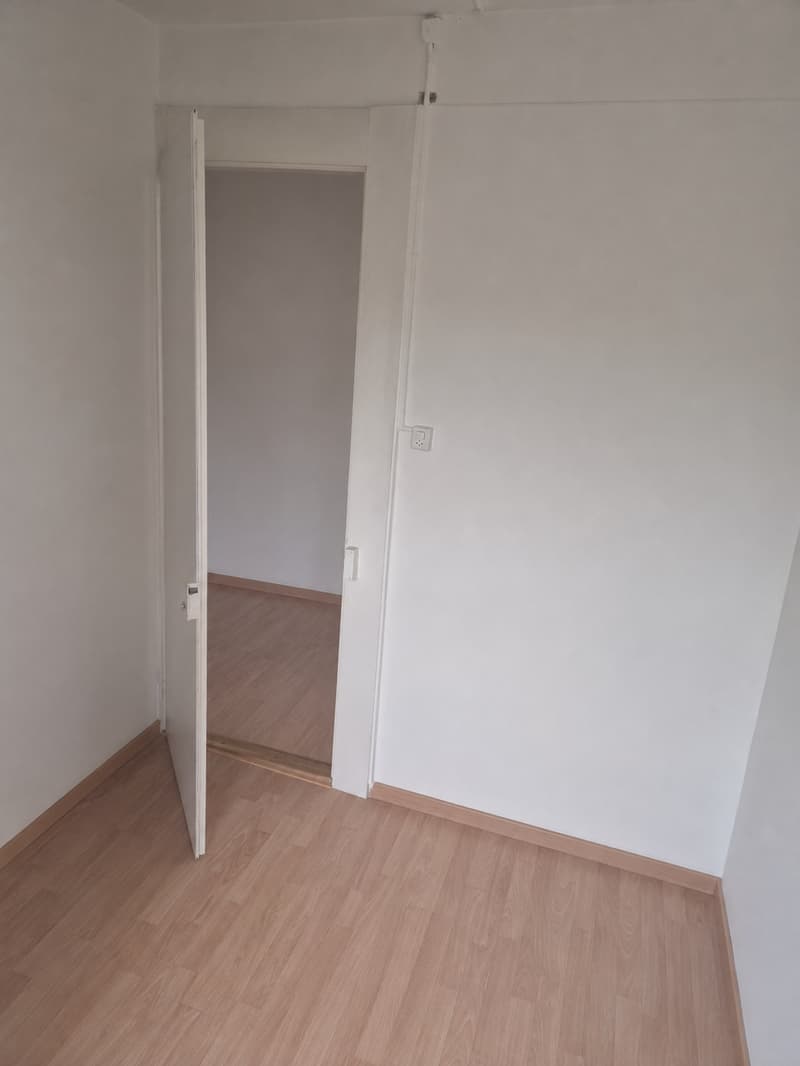 Charming 3-room apartment on Maihofstrasse in Lucerne (13)