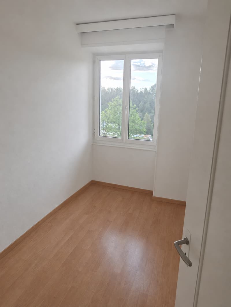 Charming 3-room apartment on Maihofstrasse in Lucerne (10)