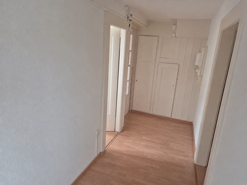 Charming 3-room apartment on Maihofstrasse in Lucerne (12)