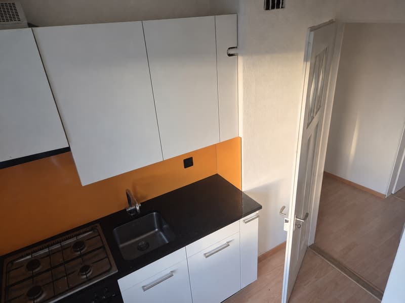 Charming 3-room apartment on Maihofstrasse in Lucerne (6)