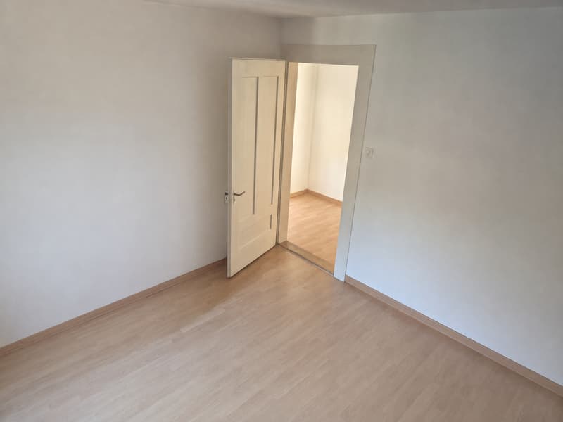 Charming 3-room apartment on Maihofstrasse in Lucerne (5)