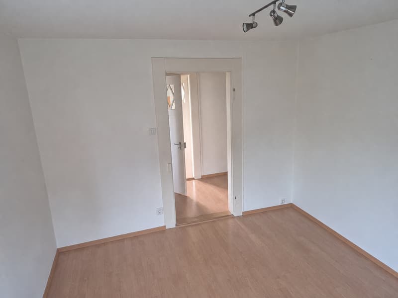 Charming 3-room apartment on Maihofstrasse in Lucerne (8)
