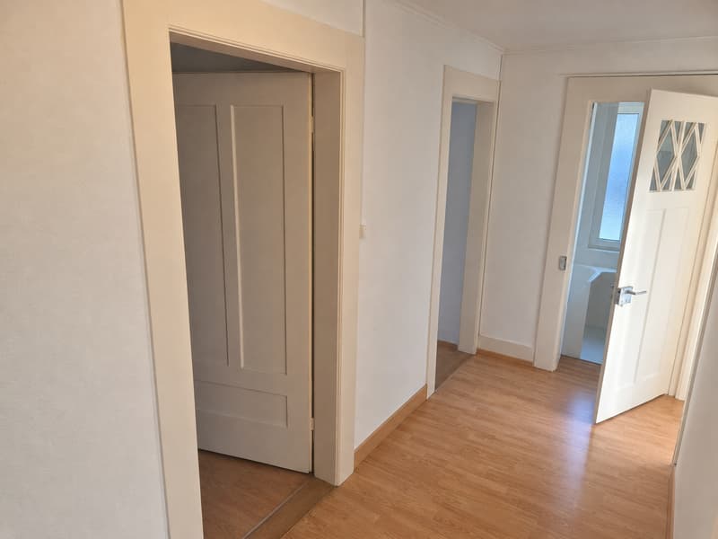 Charming 3-room apartment on Maihofstrasse in Lucerne (11)
