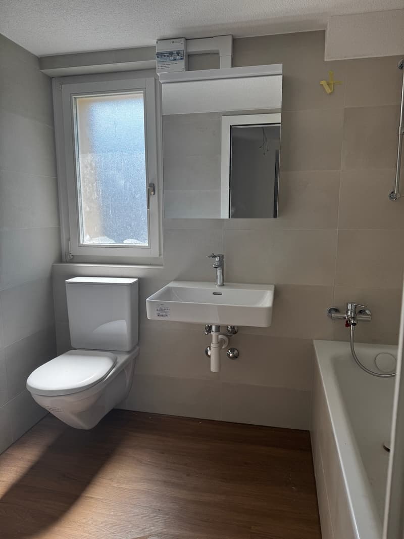 Helle 2-Zimmer-Wohnung in Kriens – frisch renoviert. (5)