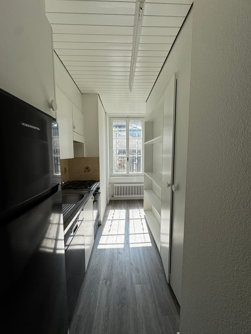 Charmante 4-Zimmer-Wohnung im Altbau an der Bireggstrasse, Luzern (10)