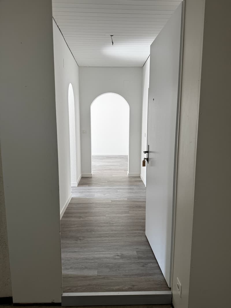Charmante 4-Zimmer-Wohnung im Altbau an der Bireggstrasse, Luzern (1)