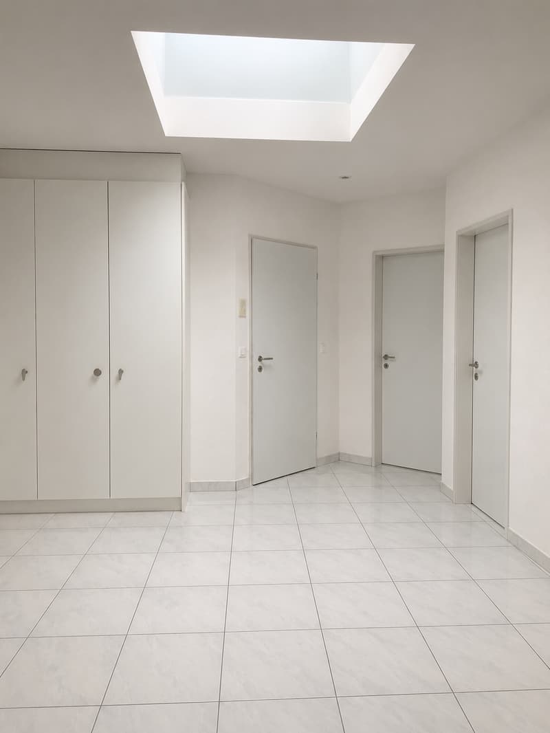 4.5-Zimmer Attika-Traum direkt an der Reuss (9)