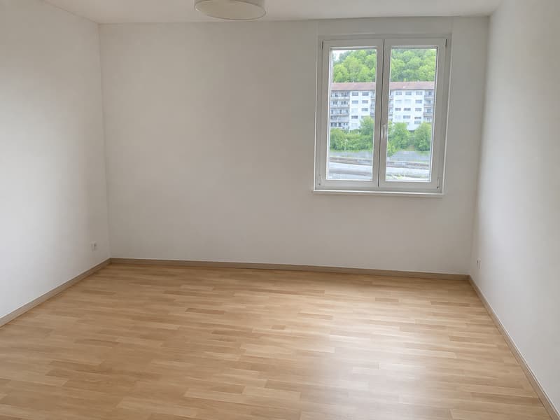 4.5-Zimmer Attika-Traum direkt an der Reuss (8)
