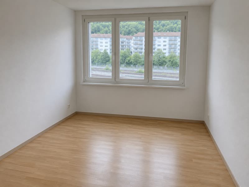 4.5-Zimmer Attika-Traum direkt an der Reuss (7)